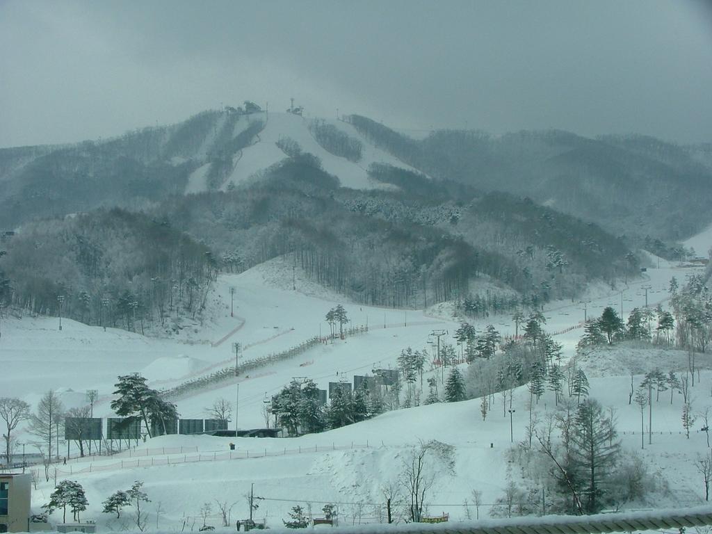 White Cabin Pyeongchang Extérieur photo